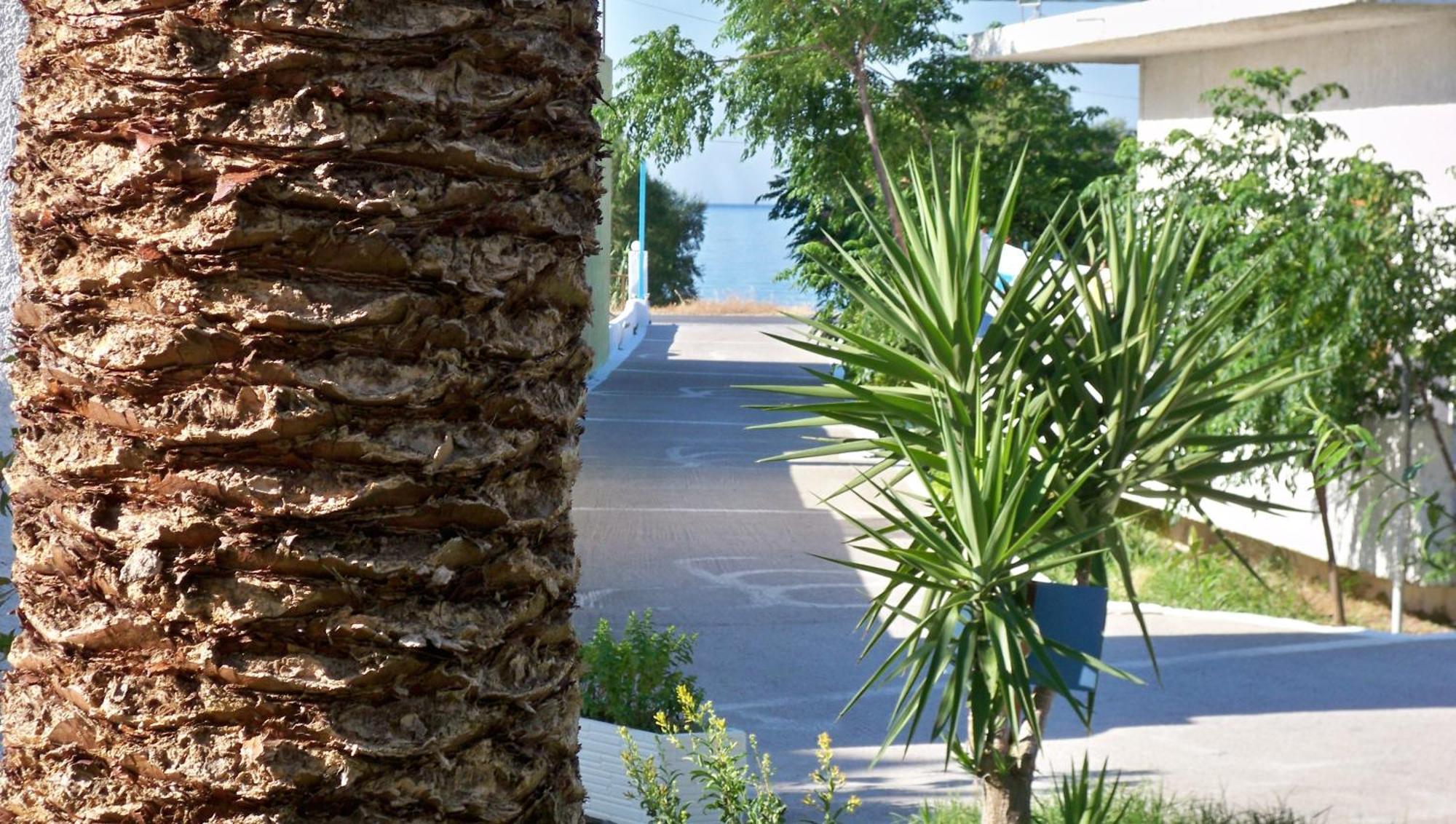 Aphrodite Samos Suites Marathókampos Exterior foto